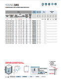 YOUNG 3AS